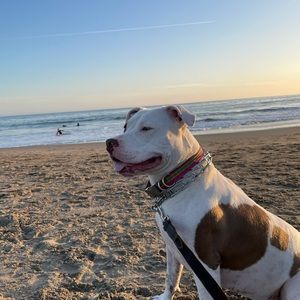 Meet your Posher, Bryan